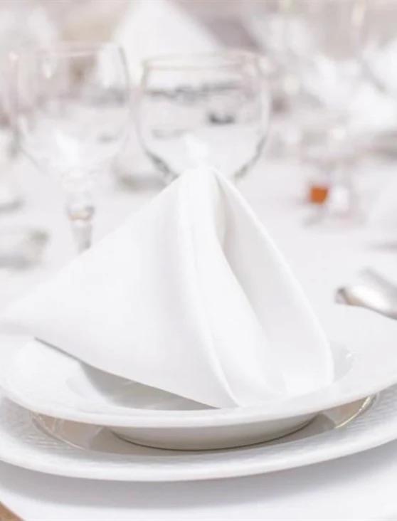 Servietter / stoffservietter / damask servietter / tøyservietter, bilde 2 av 3