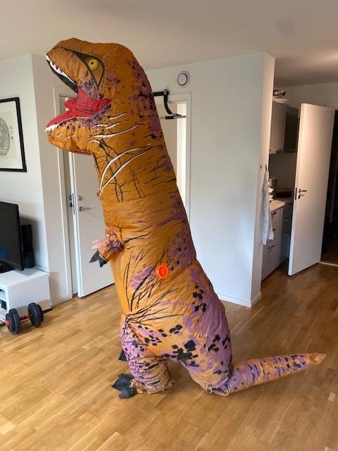 Dinosaurkostyme voksen til leie i Bjerke