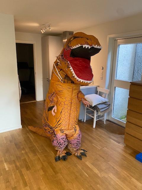 Dinosaurkostyme voksen, bilde 3 av 3
