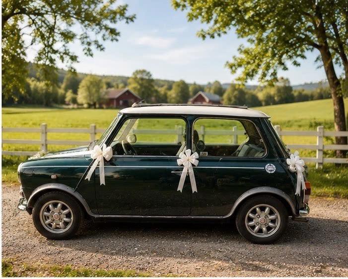 Mini Cooper bil til leie til bryllup / spesielle anledninger / reklame e.l., bilde 2 av 8