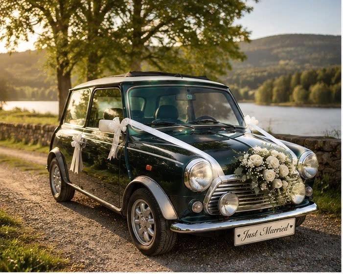 Mini Cooper bil til leie til bryllup / spesielle anledninger / reklame e.l. til leie i Oslo (generelt)